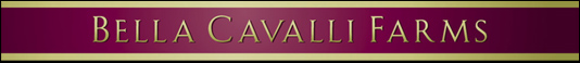Bella Cavalli Farms - Thoroughbred Facility in the Santa Ynez Valley